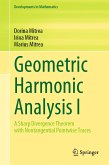Geometric Harmonic Analysis I (eBook, PDF)