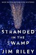 Stranded In The Swamp (eBook, ePUB) - Bild 1