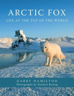 Arctic Fox - Hamilton, Garry