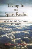 Living In The Spirit Realm: What We Will Encounter In Heaven