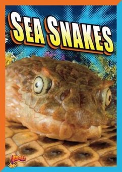 Sea Snakes - Terp, Gail