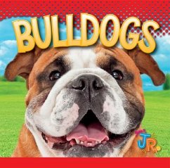 Bulldogs - Storm, Marysa