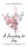 A Journey to Joy