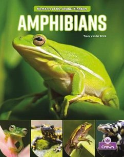 Amphibians - Brink, Tracy Vonder