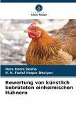 Bewertung von künstlich bebrüteten einheimischen Hühnern