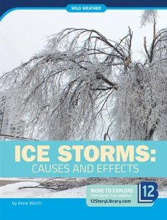 Ice Storms: Causes and Effects - Winch, Anne