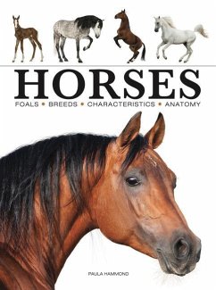 Horses - Hammond, Paula