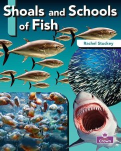 Shoals and Schools of Fish - Stuckey, Rachel