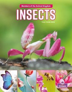 Insects - Brink, Tracy Vonder