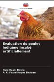 Évaluation du poulet indigène incubé artificiellement
