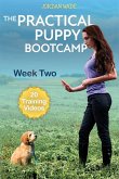The Practical Puppy Bootcamp