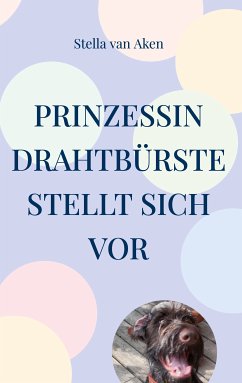 Prinzessin Drahtbürste stellt sich vor (eBook, ePUB) - Aken, Stella van