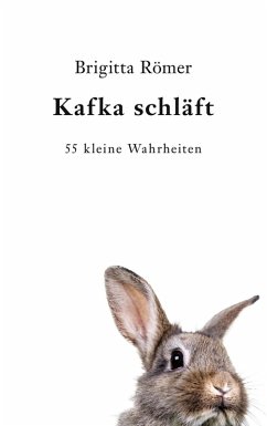 Kafka schläft (eBook, ePUB)