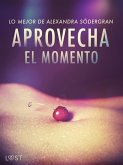 Aprovecha el momento: Lo mejor de Alexandra Södergran (eBook, ePUB)