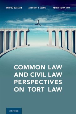 Cover Common Law and Civil Law Perspectives on Tort Law (eBook, ePUB)