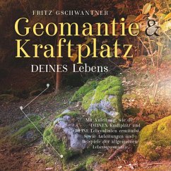 Geomantie und Kraftplatz DEINES Lebens - Gschwantner, Fritz