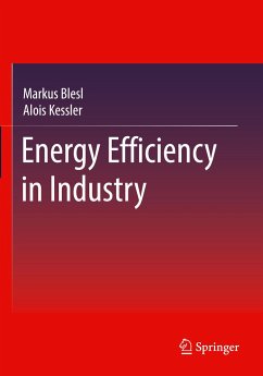 Energy Efficiency in Industry - Blesl, Markus;Kessler, Alois