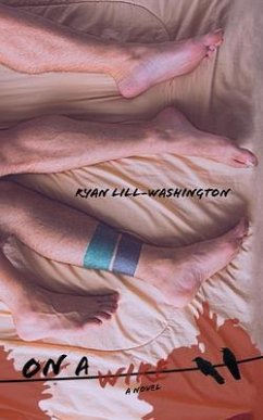 Cover On a Wire (eBook, ePUB)