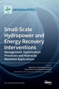 Small-Scale Hydropower and Energy Recovery Interventions
