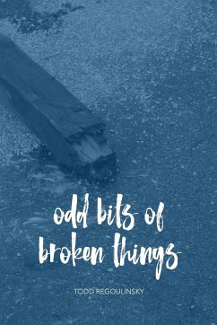 Odd Bits Of Broken Things - Regoulinsky, Todd