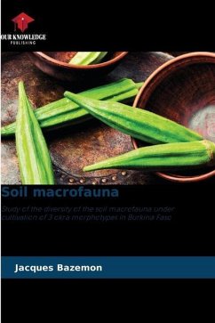 Soil macrofauna - BAZEMON, Jacques