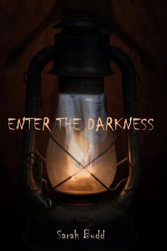 Enter the Darkness (eBook, ePUB) - Budd, Sarah