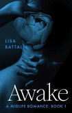 Awake: A Midlife Romance (eBook, ePUB)