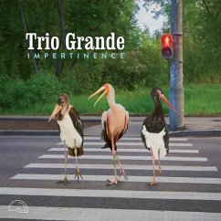 Impertinence - Trio Grande
