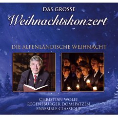 Das Große Weihnachtskonzert-Die Alpenländische Wie - Diverse