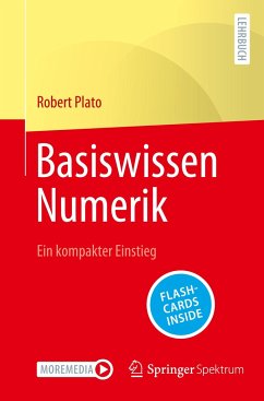 Basiswissen Numerik - Plato, Robert