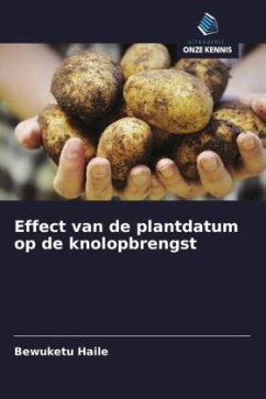 Effect van de plantdatum op de knolopbrengst - Haile, Bewuketu