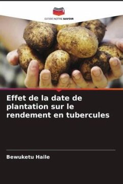 Effet de la date de plantation sur le rendement en tubercules - Haile, Bewuketu