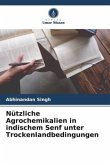 Nützliche Agrochemikalien in indischem Senf unter Trockenlandbedingungen