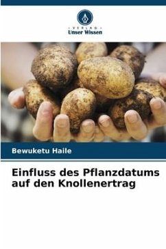 Einfluss des Pflanzdatums auf den Knollenertrag - Haile, Bewuketu