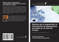 Cover Efectos de la exposición al ultrasonido de diagnóstico prenatal en el feto de conejo