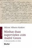 Minhas duas supervisões com André Green (eBook, ePUB)