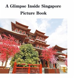 A Glimpse Inside Singapore Picture Book - Sechovicz, David