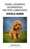 Puddel, Cockerpoo, Goldendoodle, Maltipoo, Labradoodle (Doodle Hunde) (eBook, ePUB)