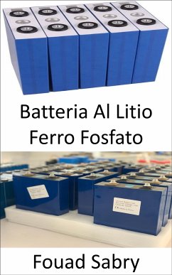 Batteria Al Litio Ferro Fosfato (eBook, ePUB) - Sabry, Fouad
