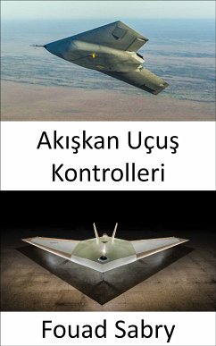 Akışkan Uçuş Kontrolleri (eBook, ePUB) - Sabry, Fouad