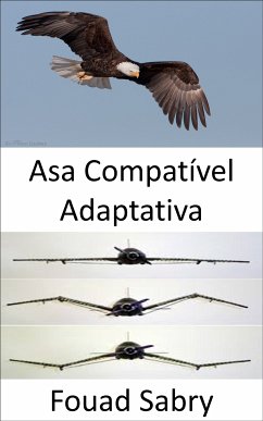 Asa Compatível Adaptativa (eBook, ePUB) - Sabry, Fouad