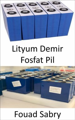 Lityum Demir Fosfat Pil (eBook, ePUB) - Sabry, Fouad