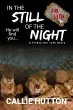 In the Still of the Night (eBook, ePUB) - Bild 1