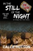 In the Still of the Night (eBook, ePUB)