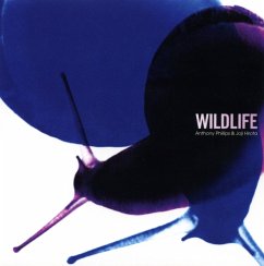 Wildlife 2cd Remastered And Expanded Edition - Anthony Phillips And Joji Hirota