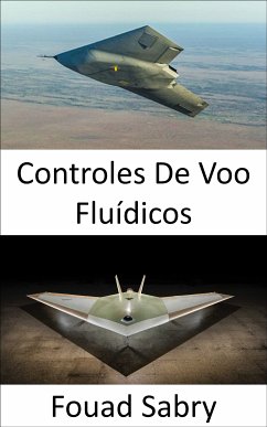 Controles De Voo Fluídicos (eBook, ePUB) - Sabry, Fouad