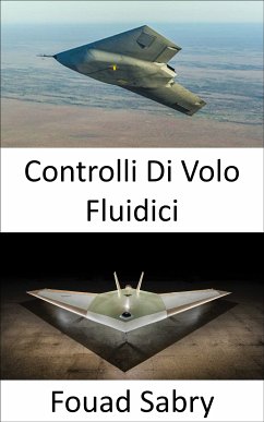 Controlli Di Volo Fluidici (eBook, ePUB) - Sabry, Fouad