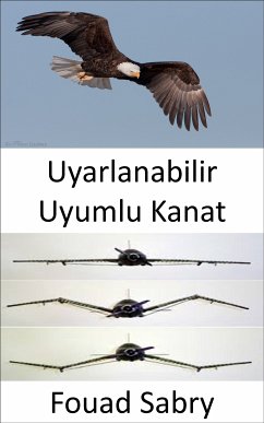 Uyarlanabilir Uyumlu Kanat (eBook, ePUB) - Sabry, Fouad