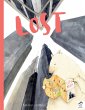 Lost (eBook, ePUB) - Bild 1