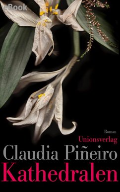 Kathedralen (eBook, ePUB) - Piñeiro, Claudia